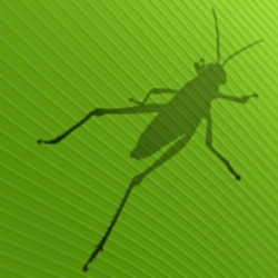grasshopper_logo
